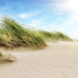 Meet your Posher, Helens